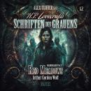 [German] - H. P. Lovecrafts Schriften des Grauens - Folge 12: Red Meadows: Madenjäger Teil 2 Audiobook