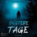 [German] - Düstere Tage Audiobook