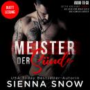 [German] - Meister der Sünde - Götter von Vegas, Band 1 (ungekürzt) Audiobook