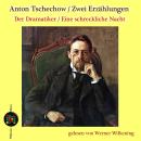 [German] - Der Dramatiker / Eine schreckliche Nacht: Zwei Erzählungen Audiobook