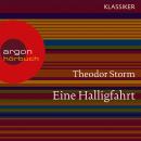 Eine Halligfahrt (Ungekürzte Lesung) Audiobook