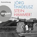 [German] - Steinhammer (Ungekürzte Autorenlesung) Audiobook