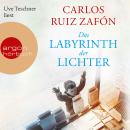 Das Labyrinth der Lichter (Ungekürzte Lesung) Audiobook