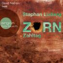 [German] - Zahltag - Zorn, Band 10 (Ungekürzte Lesung) Audiobook