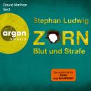 [German] - Blut und Strafe - Zorn, Band 8 (Ungekürzte Lesung) Audiobook
