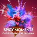 [German] - Spicy Moments - Erotische Geschichten, die Lust machen - spicy moments (Ungekürzte Lesung Audiobook