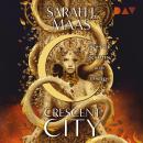 [German] - Wenn die Schatten sich erheben - Crescent City-Reihe, Band 3 (Ungekürzt) Audiobook