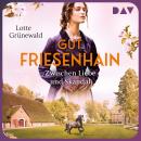[German] - Gut Friesenhain. Zwischen Liebe und Skandal - Münsterland-Saga, Band 3 (Ungekürzt) Audiobook