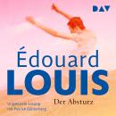 [German] - Der Absturz (Ungekürzt) Audiobook