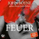 [German] - Feuer (Die Elemente 3): Roman | Das große Erzählprojekt des irischen Bestsellerautors Audiobook
