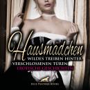 Hausmädchen - Wildes Treiben hinter verschlossenen Türen / Erotische Geschichten: Sie kommen dabei s Audiobook