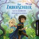[German] - Fluch des Hexenmeisters - Der Zauberschüler, Teil 1 (Ungekürzt) Audiobook
