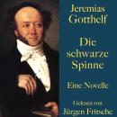 [German] - Jeremias Gotthelf: Die schwarze Spinne: Eine Novelle. Ungekürzt gelesen Audiobook