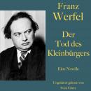 [German] - Franz Werfel: Der Tod des Kleinbürgers: Eine Novelle. Ungekürzt gelesen Audiobook