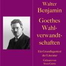 [German] - Walter Benjamin: Goethes Wahlverwandtschaften: Ein Grundlagentext der Literatur Audiobook