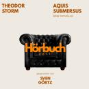 [German] - Aquis submersus. Eine Novelle.: Hörbuchzeit: Klassiker der Weltliteratur Audiobook