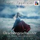 [German] - Drachengeschwister: Im Bann des Wassers Audiobook