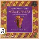 [German] - Wer Sturm sät - Historischer Kriminalroman - Schwester Fidelma ermittelt, Band 35 (Ungekü Audiobook