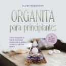 [Spanish] - Orgonita para principiantes: Cómo despertar la fuerza elemental creativa de la piedra curativa y utilizarla para ti - incl. meditaciones con orgonita y testimonios. Audiobook