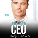 [German] - Second Chance CEO: Ein Baby vom Boss (Unexpected Love Stories) Audiobook