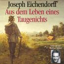 [German] - Aus dem Leben eines Taugenichts Audiobook