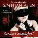 S/M-Phantasien: Der Lust ausgeliefert Audiobook