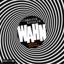 Wahn - Stories (ungekürzt) Audiobook