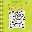 Gregs Tagebuch, 8: Echt übel! (Hörspiel) Audiobook