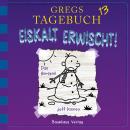 Gregs Tagebuch, 13: Eiskalt erwischt! Audiobook