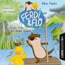 Große Hilfe für kleine Küken - Ferdi & Flo, Teil 2 (Ungekürzt) Audiobook