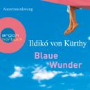 Blaue Wunder (Gekürzte Fassung) Audiobook