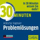 30 Minuten Problemlösungen Audiobook