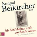 Als Strohhalme noch aus Stroh waren (Ungekürzt) Audiobook