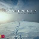 [German] - Vom Gehen im Eis (Ungekürzt) Audiobook