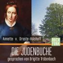Die Judenbuche (Ungekürzt) Audiobook