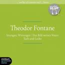 [German] - Irrungen, Wirrungen / Das Bild meines Vaters / Tuch und Locke (Ungekürzt) Audiobook