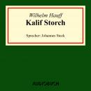 Kalif Storch (Ungekürzte Lesung) Audiobook