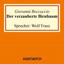 Der verzauberte Birnbaum Audiobook