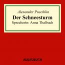 Der Schneesturm Audiobook