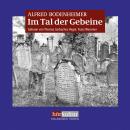 Im Tal der Gebeine: Rabbi Kleins 5. Fall Audiobook