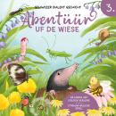 [German] - Abentüür uf de Wiese 3 Audiobook