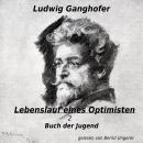 [German] - Lebenslauf eines Optimisten: Buch der Jugend Audiobook