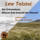 [German] - Der Schneesturm & Wieviel Erde braucht der Mensch? Audiobook
