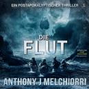 [German] - Die Flut: Postapokalyptischer Thriller: Buch 01 Audiobook