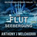 [German] - Die Flut: Seebergung: Die Flut - Buch 03, Postapokalyptischer Thriller Audiobook