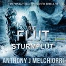 [German] - Die Flut: Sturmflut: Die Flut - Buch 04, Postapokalyptischer Thriller Audiobook
