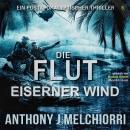 [German] - Die Flut: Eiserner Wind: Die Flut - Buch 05, Postapokalyptischer Thriller Audiobook