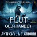 [German] - Die Flut: Gestrandet: Die Flut - Buch 06, Postapokalyptischer Thriller Audiobook