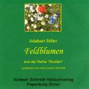 [German] - Feldblumen: Erzählung Audiobook