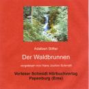 [German] - Der Waldbrunnen: Erzählung Audiobook